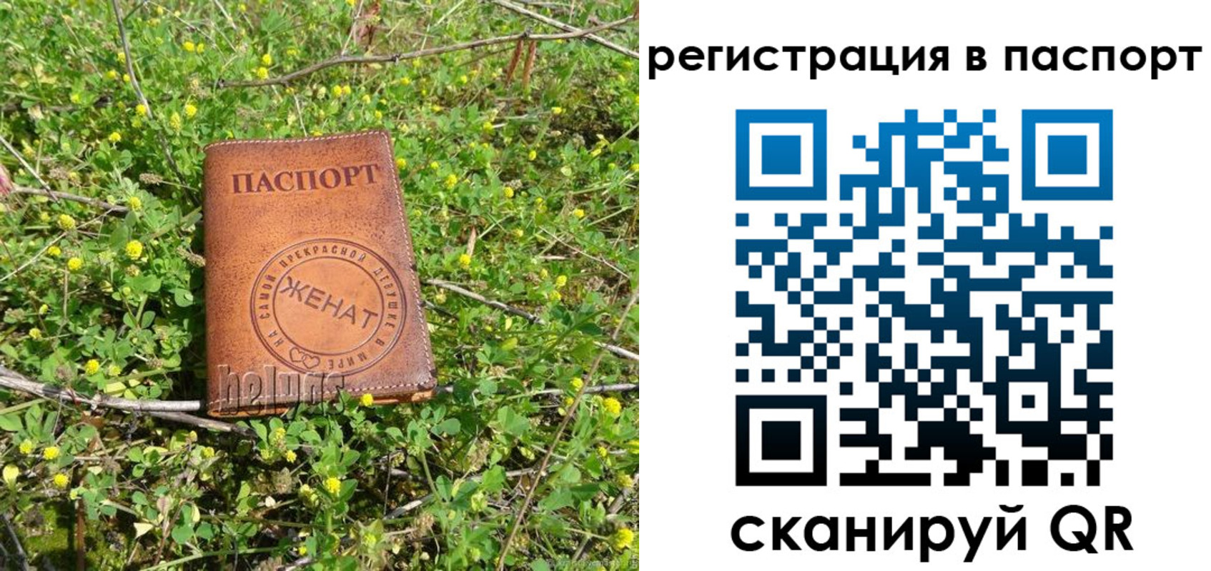 прописка законно в Пролетарске
